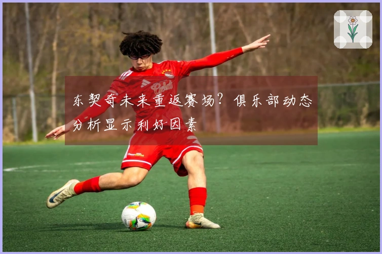 东契奇未来重返赛场？俱乐部动态分析显示利好因素